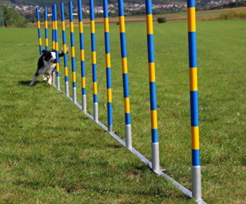 Slalom Agilyt para Cães (Oficial) com 12 Postes